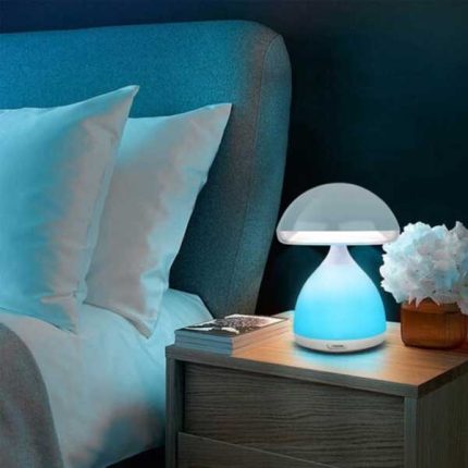 آبازور قارچی