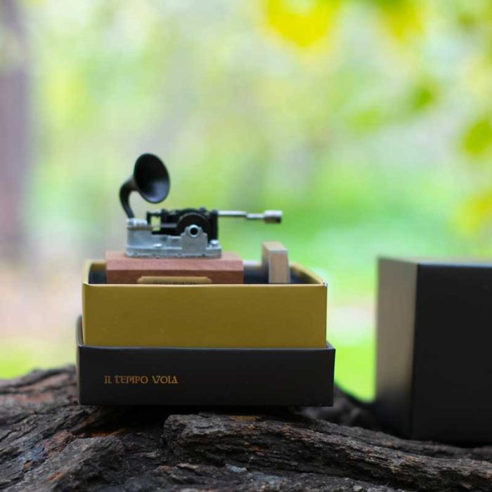 موزیک باکس و جعبه موزیکال