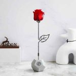 شاخه گل رز قرمز