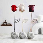 شاخه گل رز در رنگهای مختلف