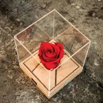 گل رز جاودان رزیج با پایه چوبی و قاب شفاف همراه ساک دستی - Image 5
