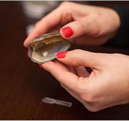 گردنبند صدفی مروارید عشق