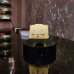دستگاه معلق نگهدارنده