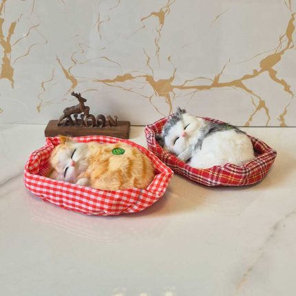 گربه میو میو کننده دخترانه