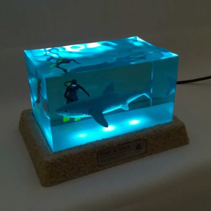 چراغ خواب عواص و کوسه